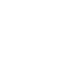 icon expertise blanc
