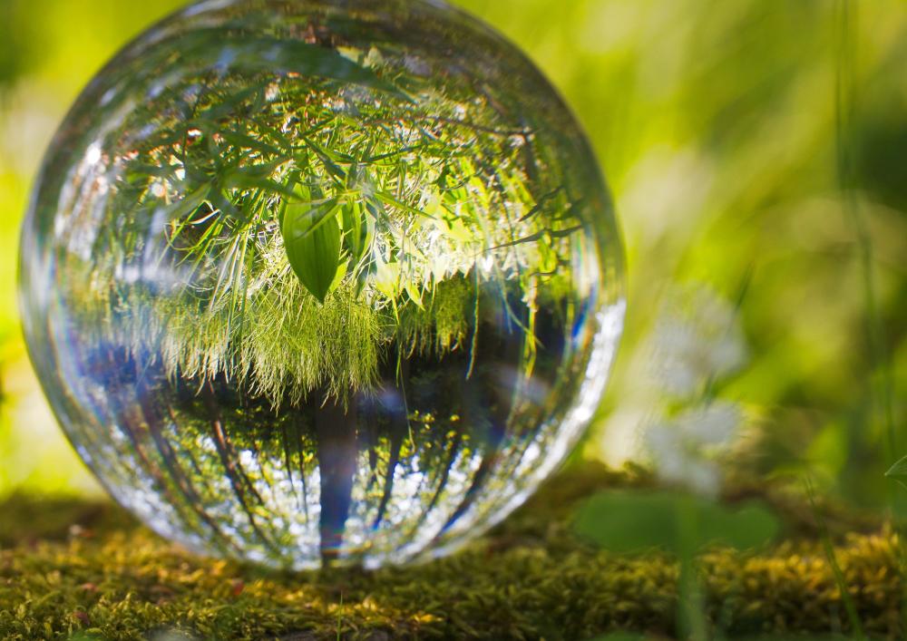 Naturopathie fonctionnelle